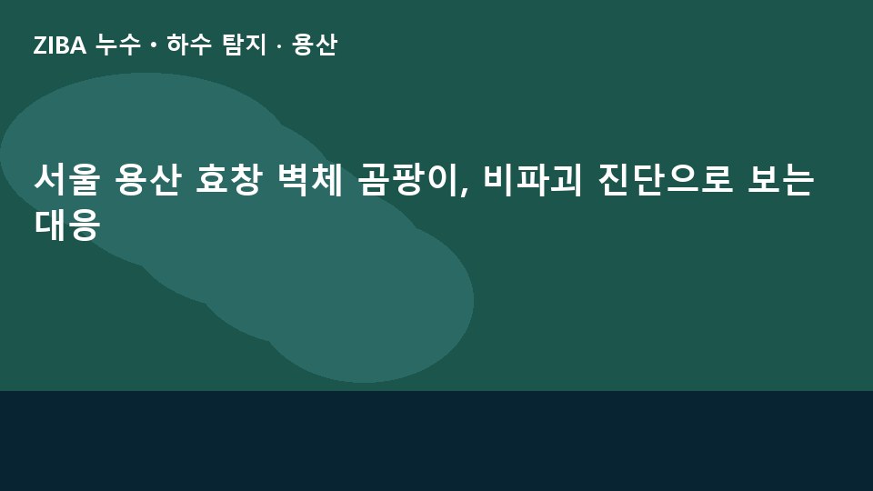 서울 용산 효창 벽체 곰팡이, 비파괴 진단으로 보는 대응