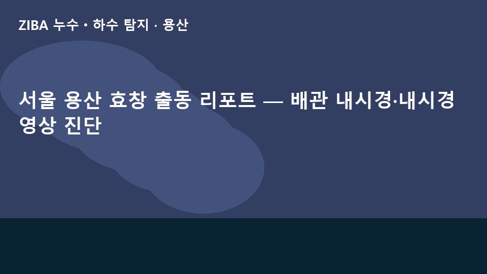 서울 용산 효창 출동 리포트 — 배관 내시경·내시경 영상 진단